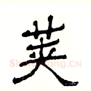荚