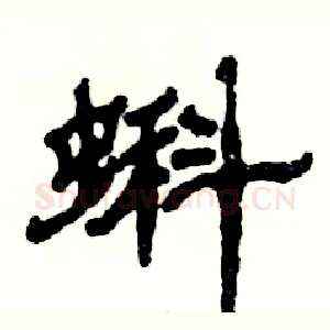 蝌