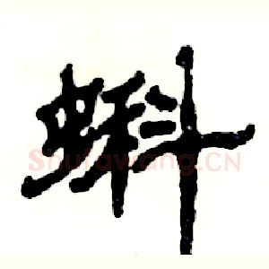蝌