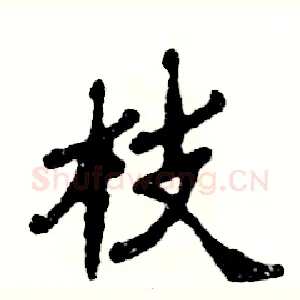 枝