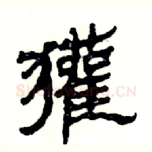 獾