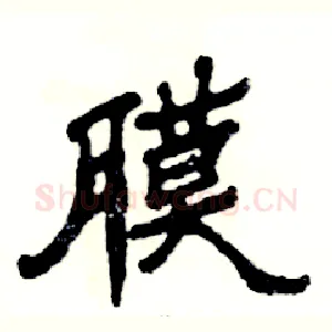 膜