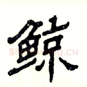 鲸