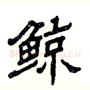 鲸