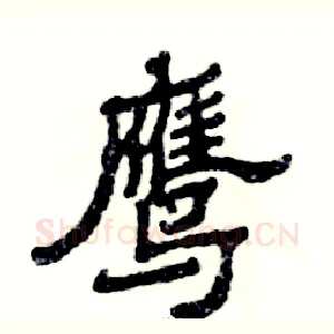 鹰