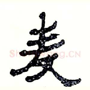 麦
