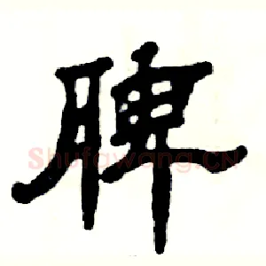 脾