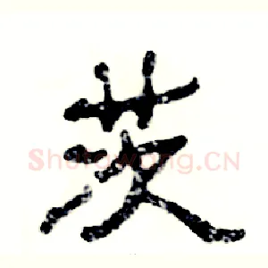 茨