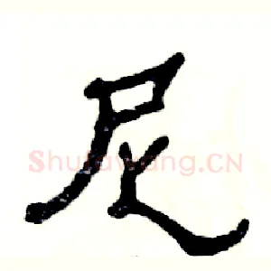 尼