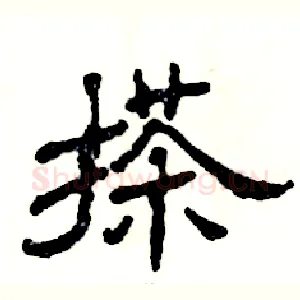 搽