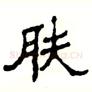 肤