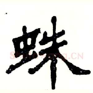 蛛