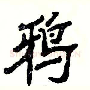 鸦