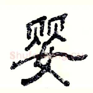 婴