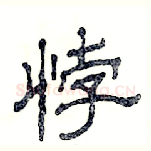 悖