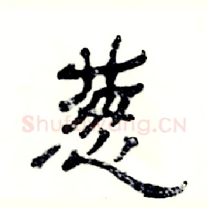 葱