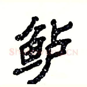 鲈