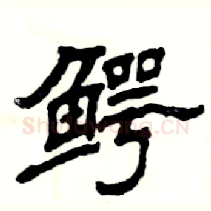 鳄