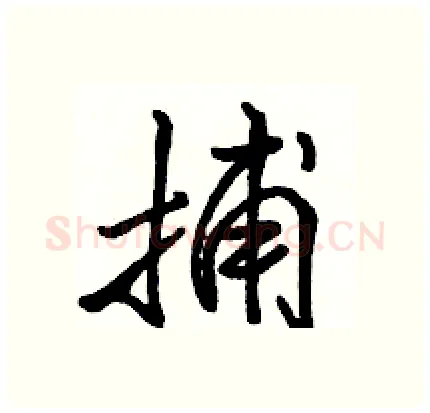 捕硬笔行书写法,摘自骆恒光硬笔书法字帖