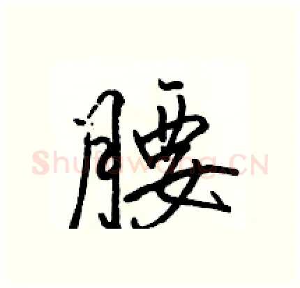腰硬笔行书写法,摘自骆恒光硬笔书法字帖