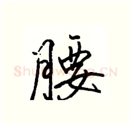 腰硬笔行书写法,摘自骆恒光硬笔书法字帖