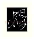 楼硬笔行书写法,摘自金泽珊硬笔书法字帖