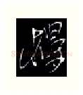 楼硬笔行书写法,摘自金泽珊硬笔书法字帖