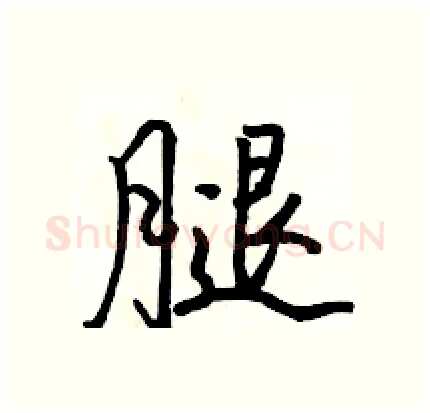 腿硬笔行书写法,摘自骆恒光硬笔书法字帖