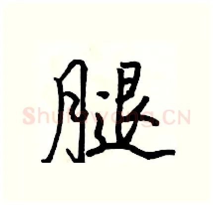 腿硬笔行书写法,摘自骆恒光硬笔书法字帖
