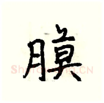 膜硬笔行书写法,摘自曾庆福硬笔书法字帖