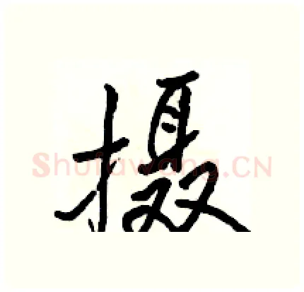 摄硬笔行书写法,摘自骆恒光硬笔书法字帖