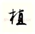 植硬笔行书写法,摘自金泽珊硬笔书法字帖