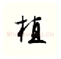 植硬笔行书写法,摘自金泽珊硬笔书法字帖