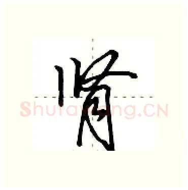 肾硬笔行书写法,摘自田英章硬笔书法字帖