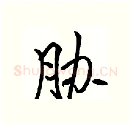 胁硬笔行书写法,摘自骆恒光硬笔书法字帖
