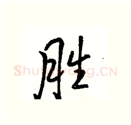 胜硬笔行书写法,摘自骆恒光硬笔书法字帖
