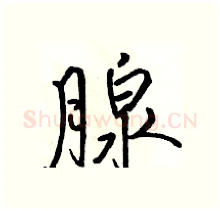 腺硬笔行书写法,摘自骆恒光硬笔书法字帖