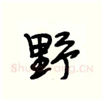 野硬笔行书写法,摘自段相林硬笔书法字帖