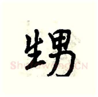 甥硬笔行书写法,摘自曾庆福硬笔书法字帖