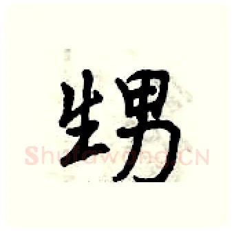 甥硬笔行书写法,摘自曾庆福硬笔书法字帖