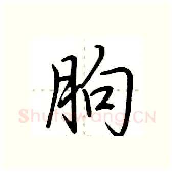 朐硬笔行书写法,摘自荆霄鹏硬笔书法字帖