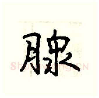 腺硬笔行书写法,摘自曾庆福硬笔书法字帖