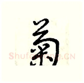 菊硬笔行书写法,摘自曾庆福硬笔书法字帖