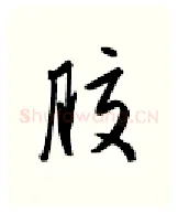 胶硬笔行书写法,摘自金泽珊硬笔书法字帖