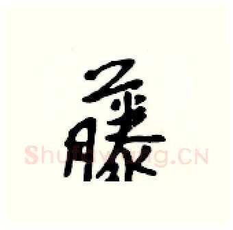 藤硬笔行书写法,摘自吴身元硬笔书法字帖