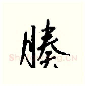 腠硬笔行书写法,摘自钱沛云硬笔书法字帖