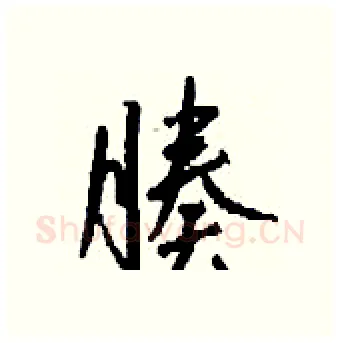 腠硬笔行书写法,摘自钱沛云硬笔书法字帖