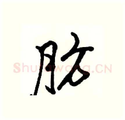 肪硬笔行书写法,摘自骆恒光硬笔书法字帖