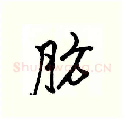 肪硬笔行书写法,摘自骆恒光硬笔书法字帖