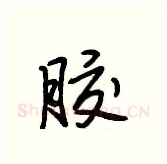 胶硬笔行书写法,摘自段相林硬笔书法字帖
